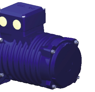Bild Bauer 2010 Ringrippenmotoren