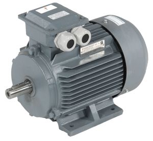 Dutchi Graugussmotor Typ DM2